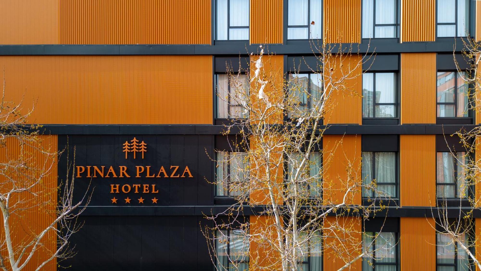Hotel Pinar Plaza Madrid Eksteriør bilde